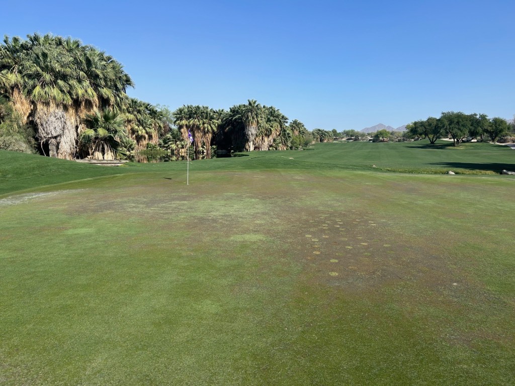 Seasonal Transition Update at Desert Willow Golf Resort
